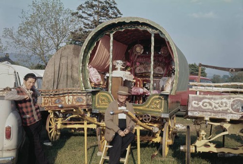 Appleby new fair visitors - new,