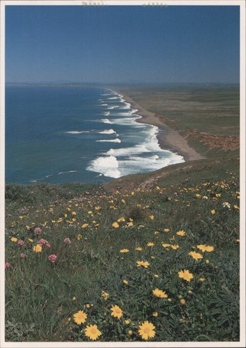 John wagner california - wagner,
