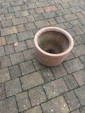 Large Terracotta Egg Planter