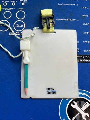 Scuba diving seac - seac, sub