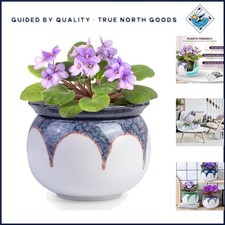6 Inch Self-Watering Ceramic