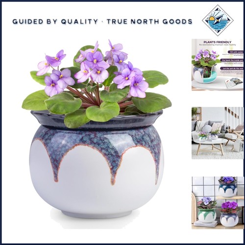 Inch self watering - 6,