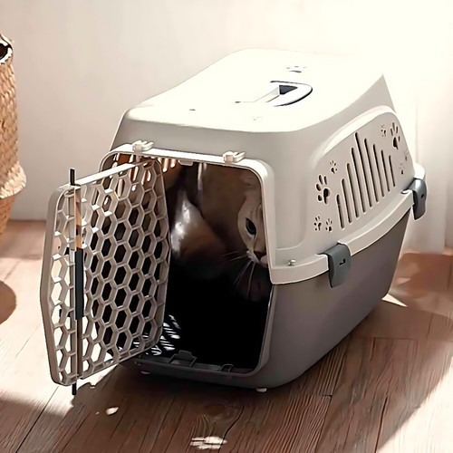 Cat carrier dog puppy - carrier,