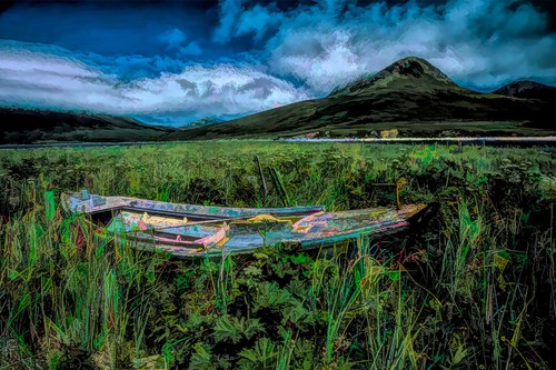 Abandoned alaskan meadow - in, an