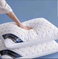 2 Luxury Hotel Pillow –