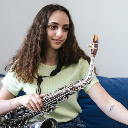 Saxophone professional alto - professional,