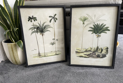 Pair vintage botanical palm - vintage,