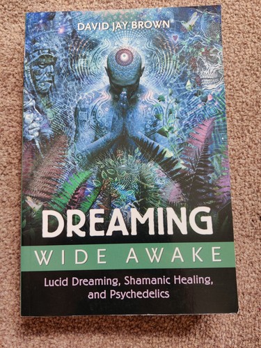 Dreaming wide awake lucid - awake,