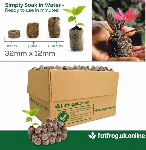 Coir peat plug - peat, x