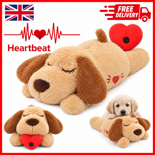 Pet puppy heartbeat - pet,