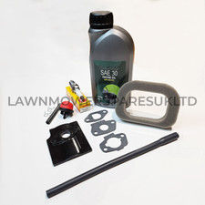 Mountfield RS100 Engine