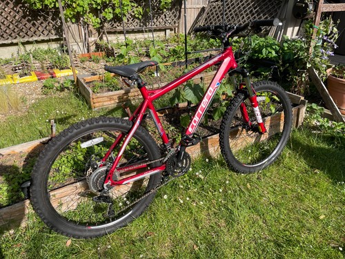 Carrera centos large hard tail - large,