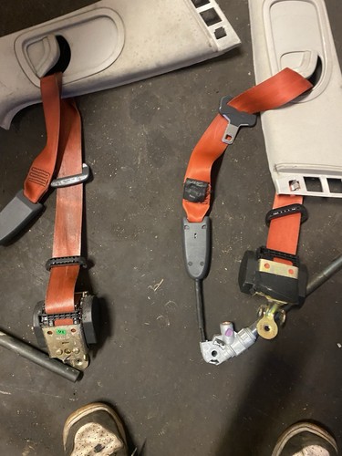 Megane 225 orange - 225, belts
