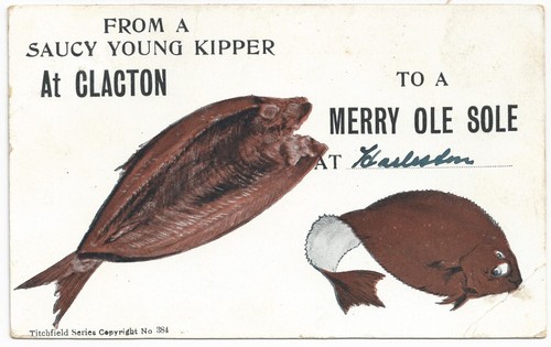 Clacton sea saucy - 'saucy, young
