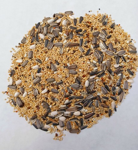 Parakeet mix 20kg premium - parakeet,