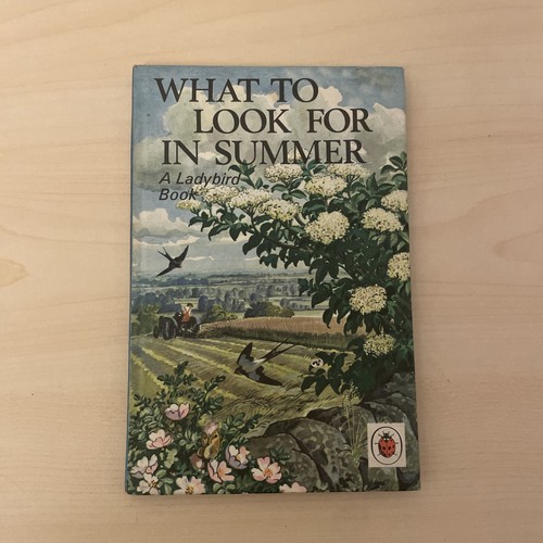 What look for summer - what,