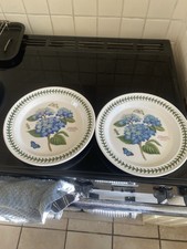 Portmerion Botanic Garden