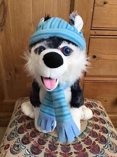 Gewi austria grey white husky - austria,