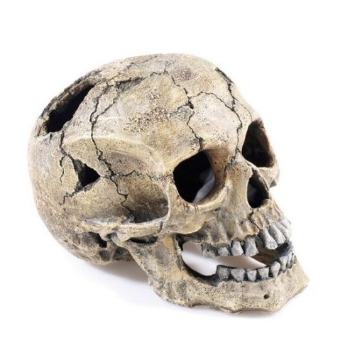 Classic cracked skull large - skull,