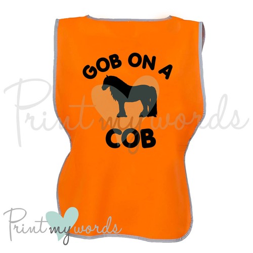 Vis equestrian horse riding - vis,