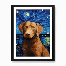 Chesapeake Bay Retriever