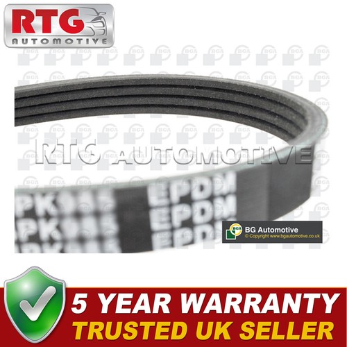 Ribbed drive belt fits fiat - ribbed,
