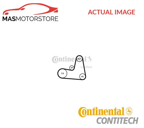Ribbed belt set contitech - v-ribbed,