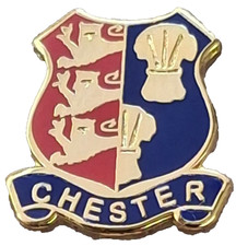 Chester City Small Pin Badge