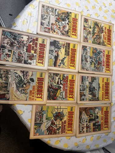 The hornet comics issues - the,