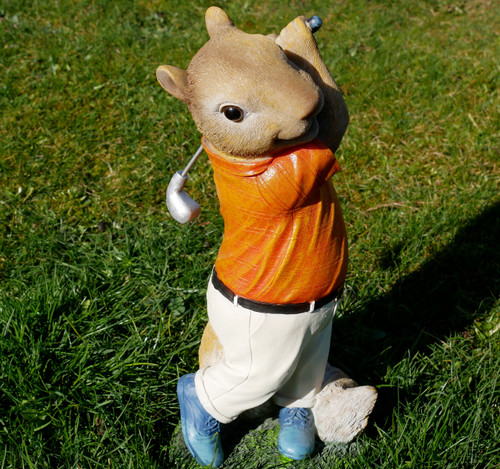 Squirrel golfer with - squirrel, golf