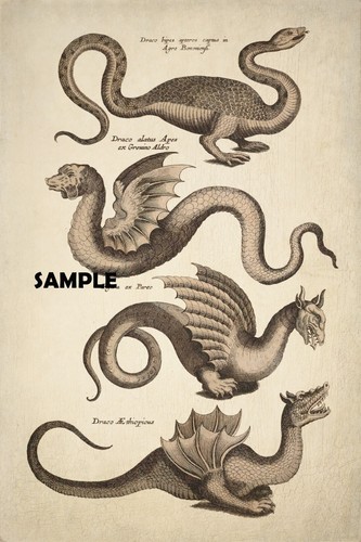 Dragons mythical vintage retro - dragons,