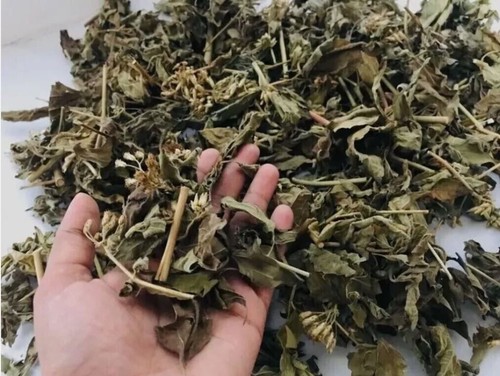 100 organic mexican - 100%, dream
