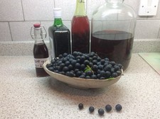 2lb  Top Quality Fresh Dorset Sloe Berries. 