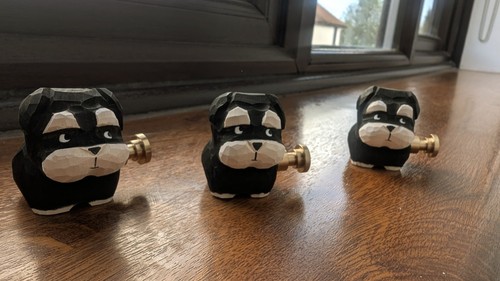 Schnauzer puppy cupboard - schnauzer,