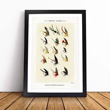 Trout Fishing Flies Version 1 Framed Canvas Wall Art Print Poster Picture