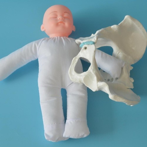 Childbirth demonstration life - childbirth,