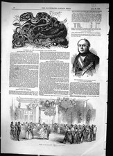 Old 1849 Boulay French Republic Military Ball Chelsea Rattlesnake Zoo Victorian