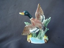 vintage Mallard flying  duck