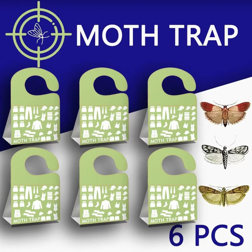 Silentking pheromone moth - 6x,