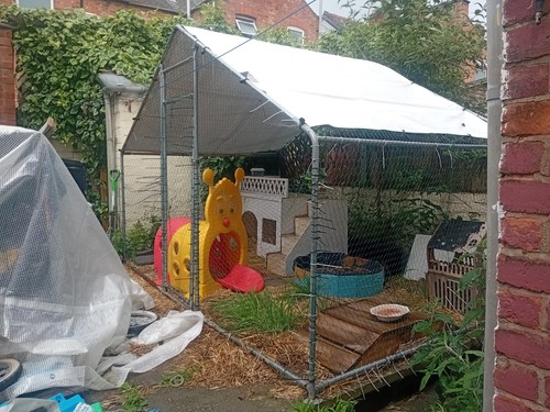 Walk chicken run 3x2x2 with - in,