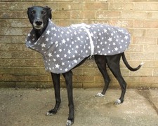 Greyhound lurcher whippet - greyhound,