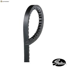 V-BELT 6229MC FOR DACIA