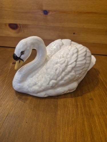 Aynsley the mute swan - aynsley, swan”