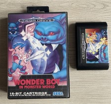 Wonder Boy In Monster World