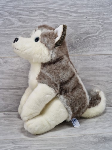 Lapland siberian husky - uk,