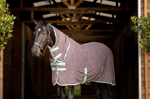 Horse pony fleece - pony,