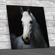 Lovely Horse Portrait Square