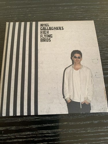 Noel gallagher high flying - noel,