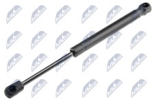 AE-ME-039 NTY Gas Spring