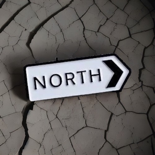 The north pin badge - the,